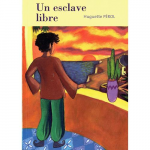 Un esclave libre vignette